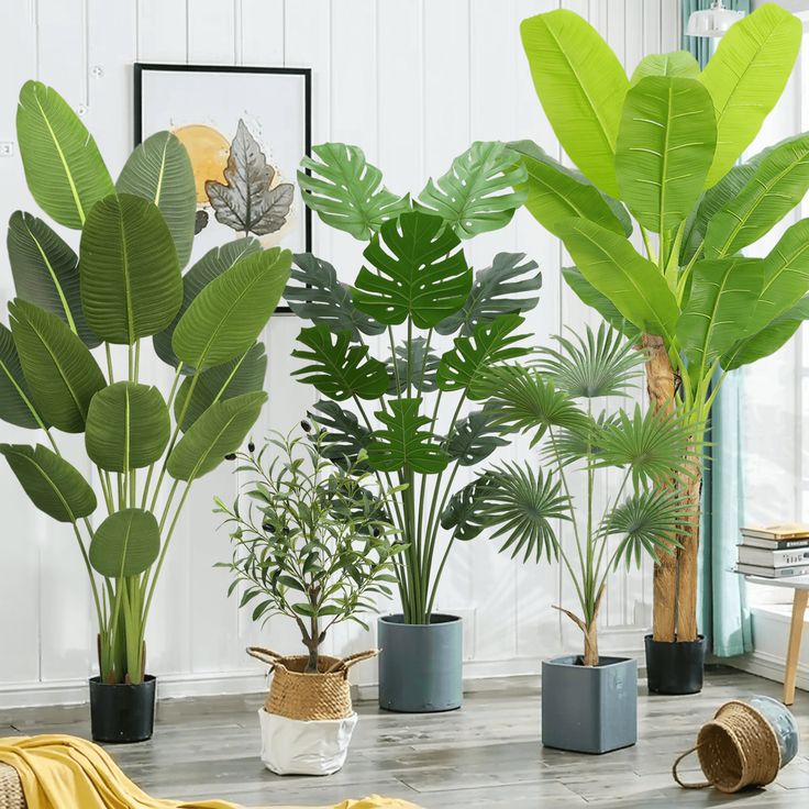collection-img