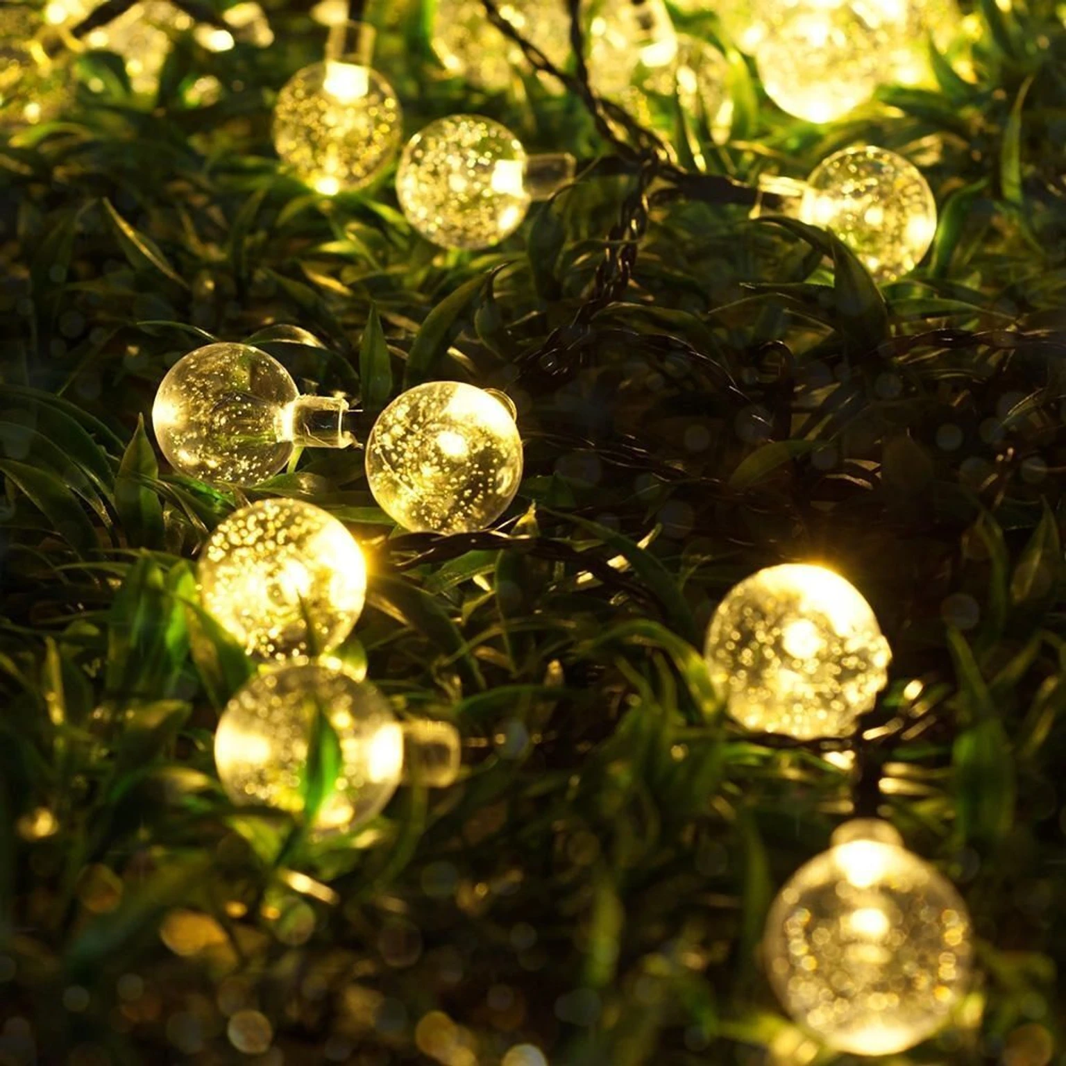 14 LEDs 3 m Yellow Steady Bulb Rice Lights (Pack of 1)